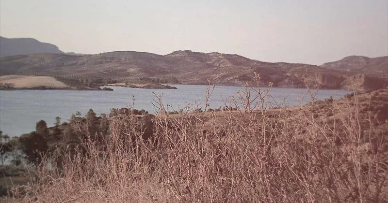 كوبون خصم noon 26% بالكود DEJ18 - صورة 6